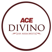 Ace Divino Project Logo